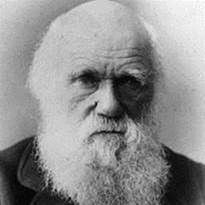 Charles Darwin, FIRST Championship St. Louis