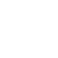 lightbulb icon